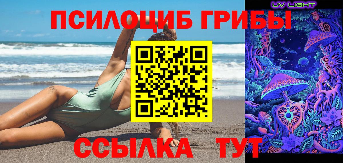 Галлюциногенные грибы мицелий  Вход с VPN  Шали  Галлюциногенные грибы Psilocybine cubensis 